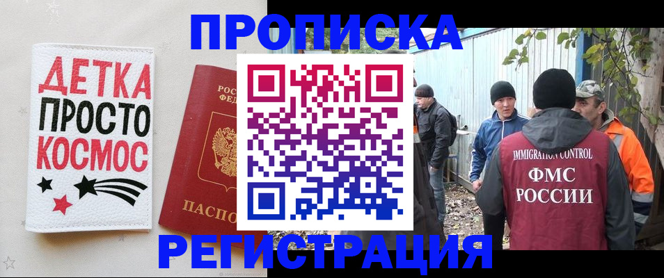 прописка поиск в Звенигово